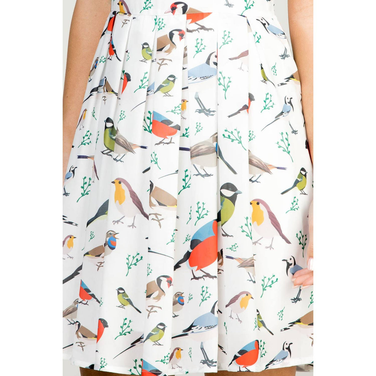 Bird Pattern A Line Dress
